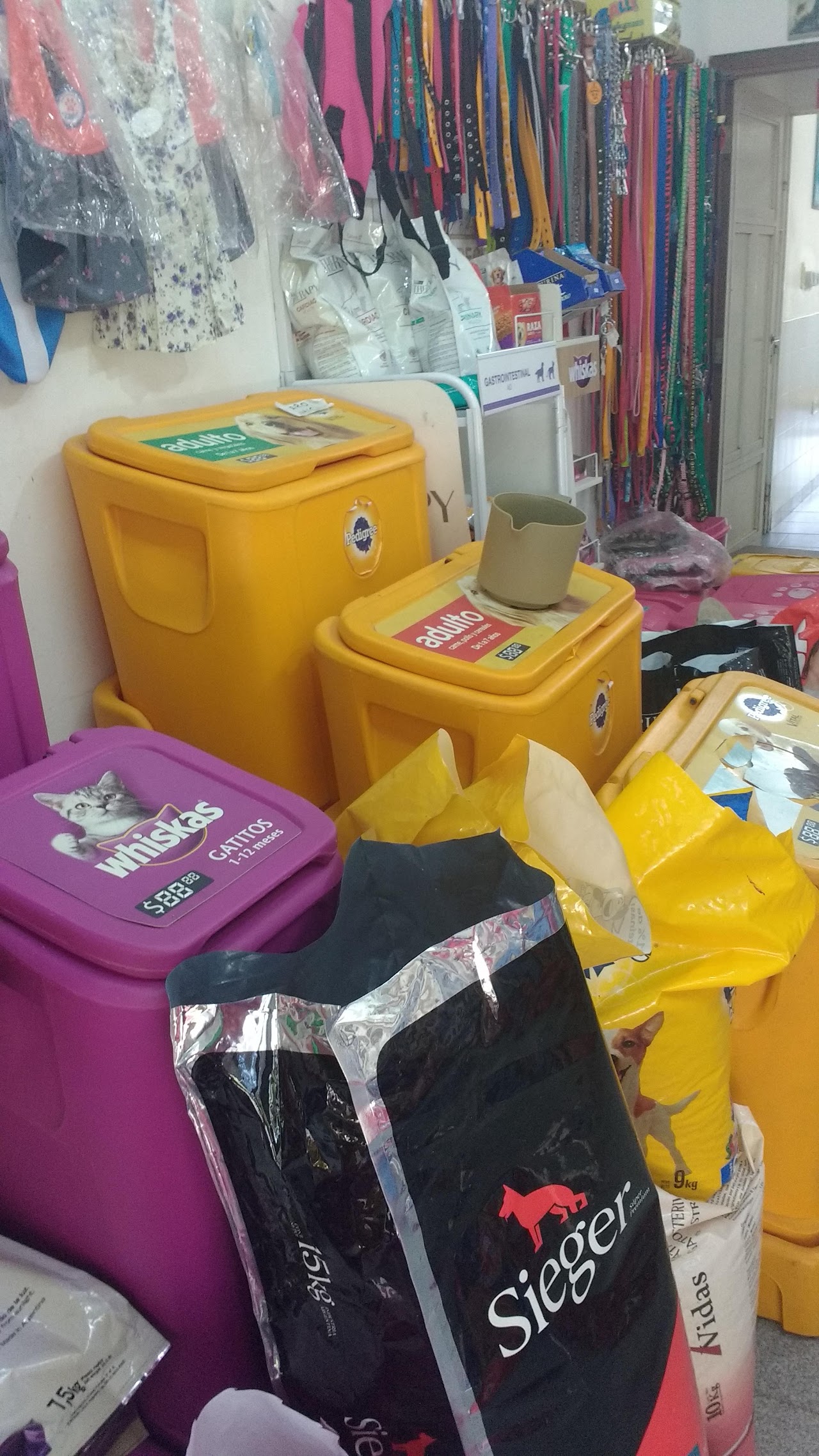 Veterinaria Ishi - pet shop interior